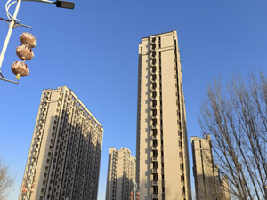 ¡��̩��--���ݹ����Ͼ���Ŀ